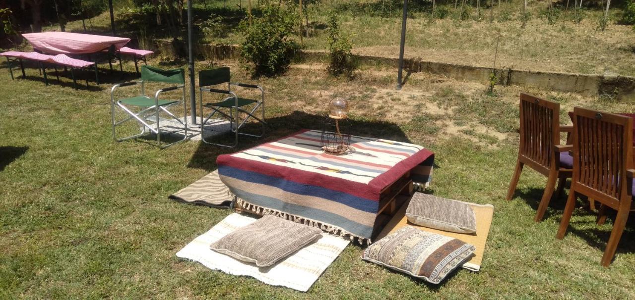 Ferienwohnung La Casa Nel Sole Alessandria Exterior foto