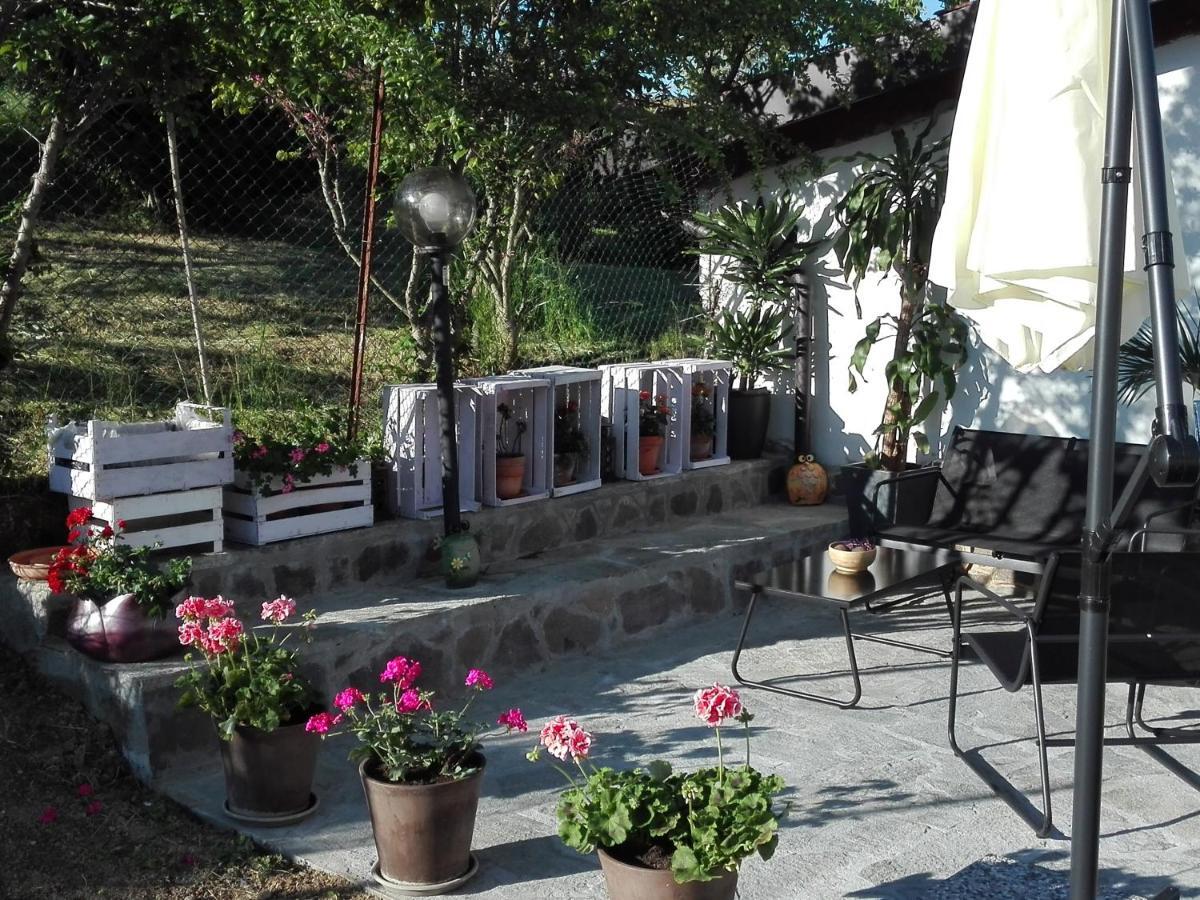 Ferienwohnung La Casa Nel Sole Alessandria Exterior foto